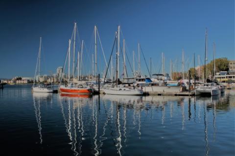 Boats on the water in Victoria, British Columbia